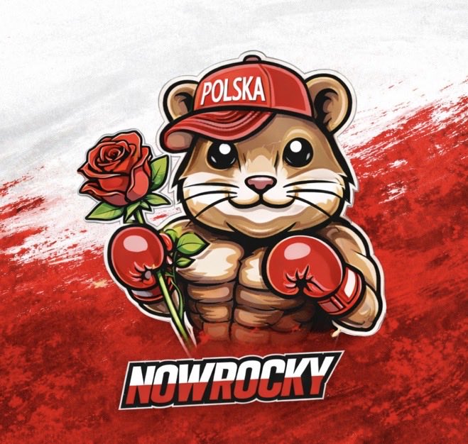 NOWROCKY tweet media