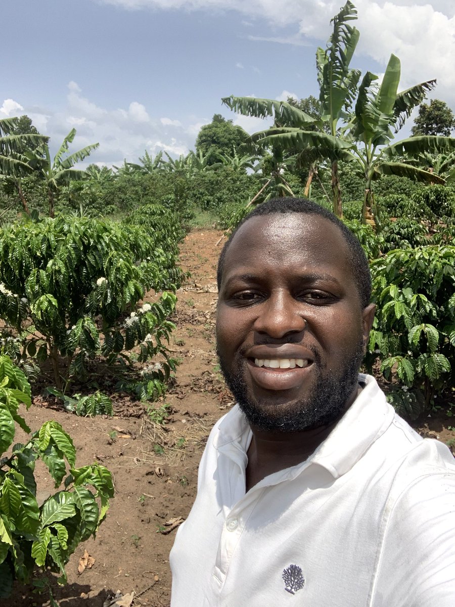 Douglas kato tweet media