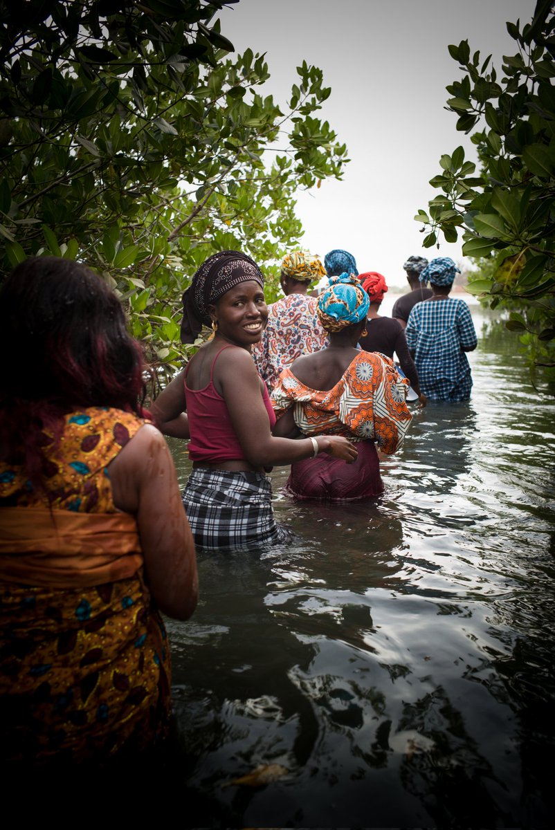 La Coopération monégasque tweet media