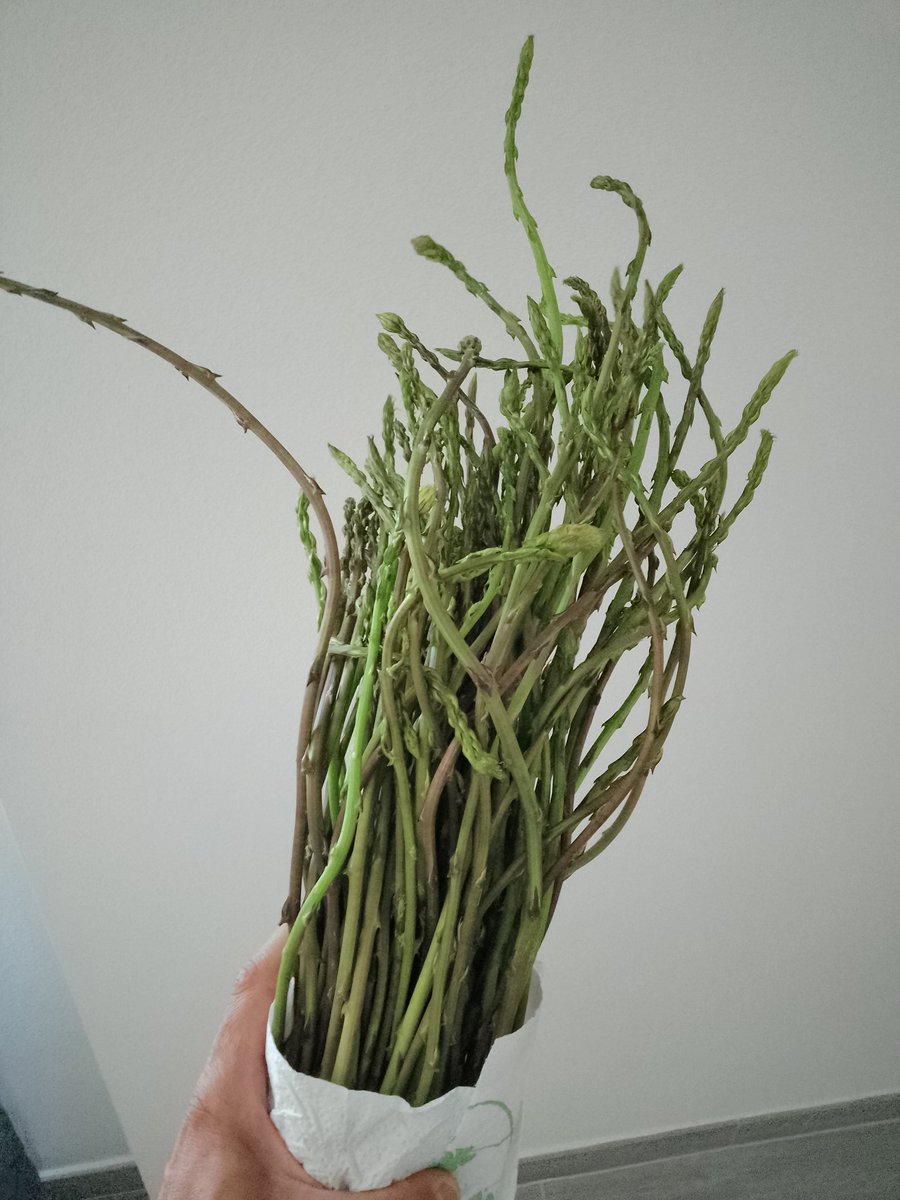 Assar Contini tweet media