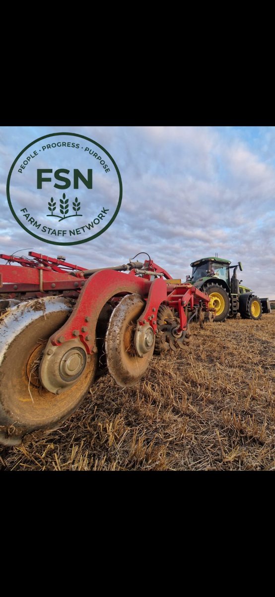 Ben Martin tweet media