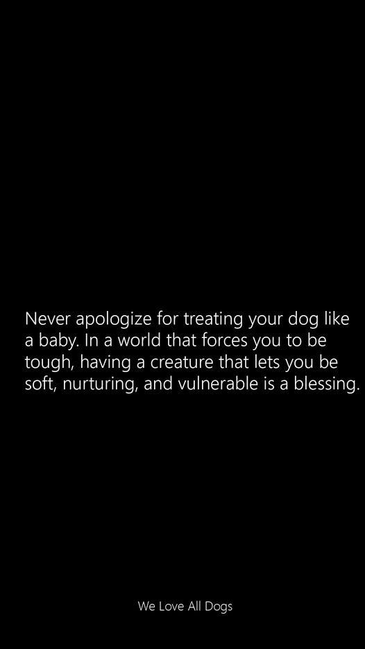 woofknight's tweet photo. https://t.co/Z1h8Dmx5sb