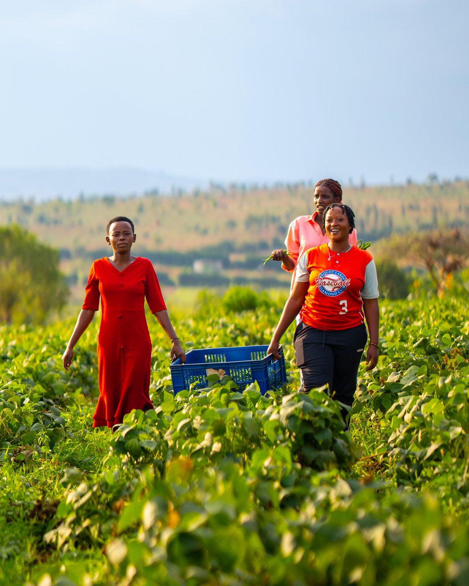 WFP_Rwanda_CD's tweet photo. Happy #IWD2026!
Women &amp;girls are at the heart of food security, from farmers &amp; food producers to caregivers &amp; community leaders. When we support &amp; invest in women, we strengthen families, improve nutrition, build resilient communities &amp; invest in a food-secure future. #GiveToGain https://t.co/18W0vihRbI