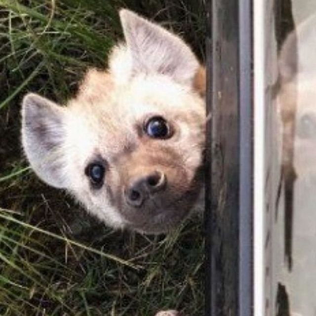 The Yeening 🇸🇮 🇦🇲 🇵🇸 tweet media