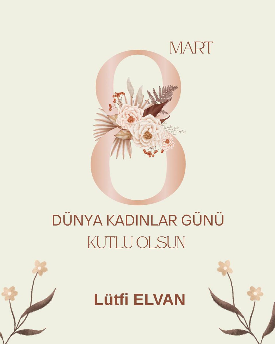 Lütfi Elvan tweet media