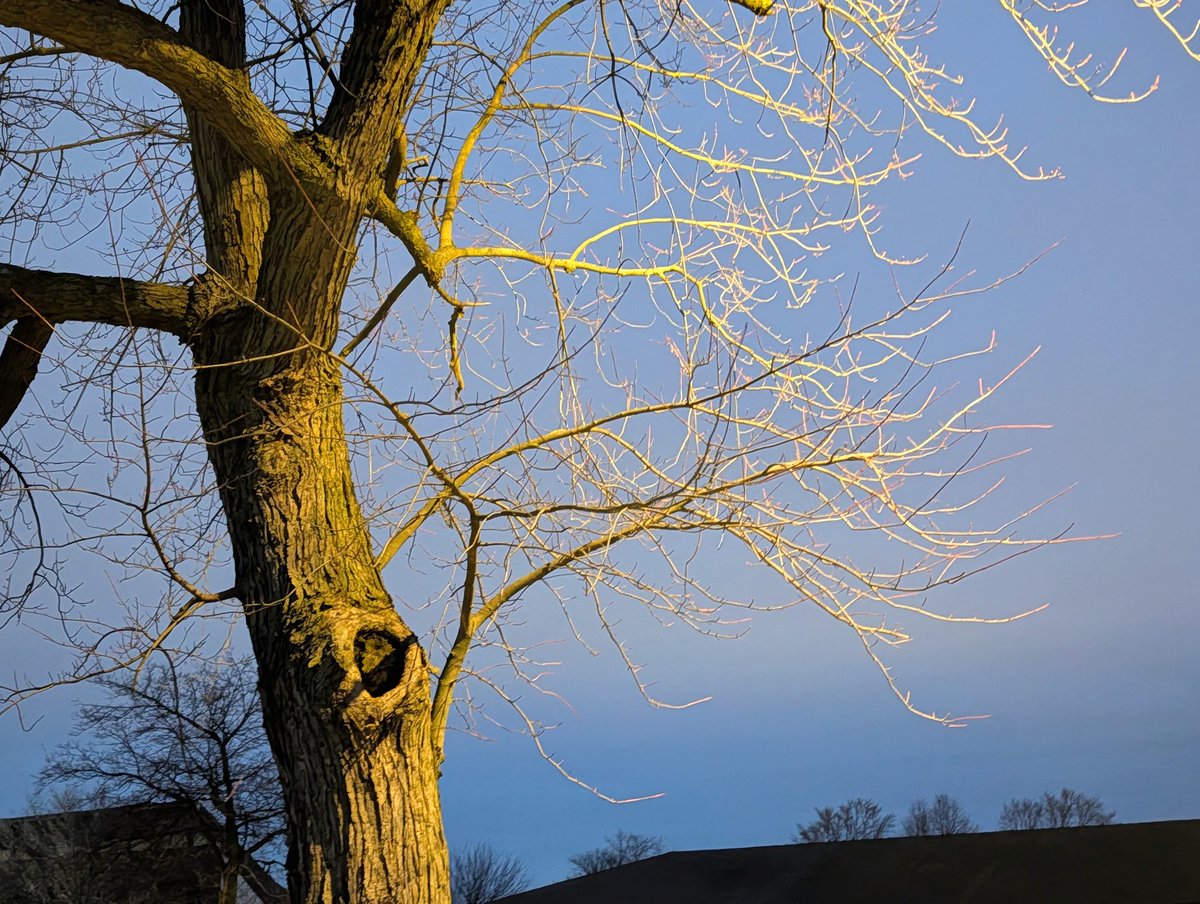 Tom Mazur tweet media