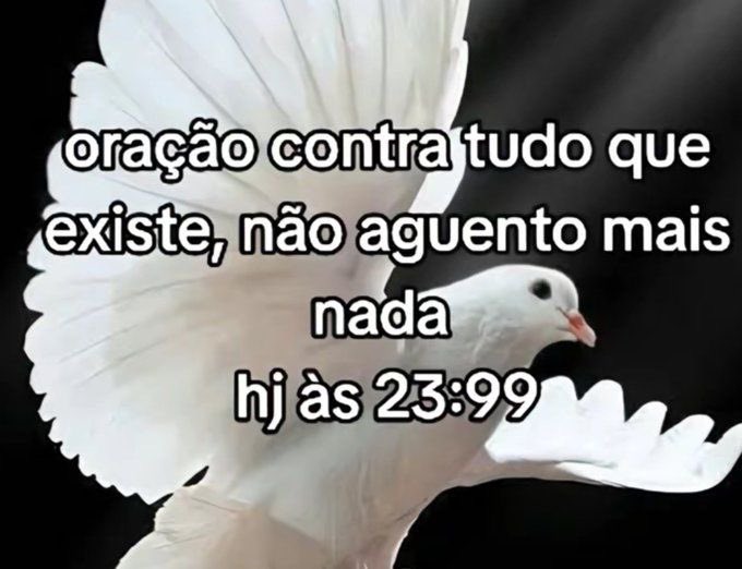 shitpostverdade's tweet photo. https://t.co/5WhjQhraCI