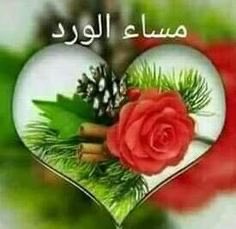 💙 نجم 💙 ،، tweet media