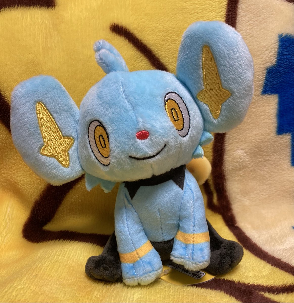 新たな仲間をお迎えしました✨
ぽこあ でもお迎えしたい