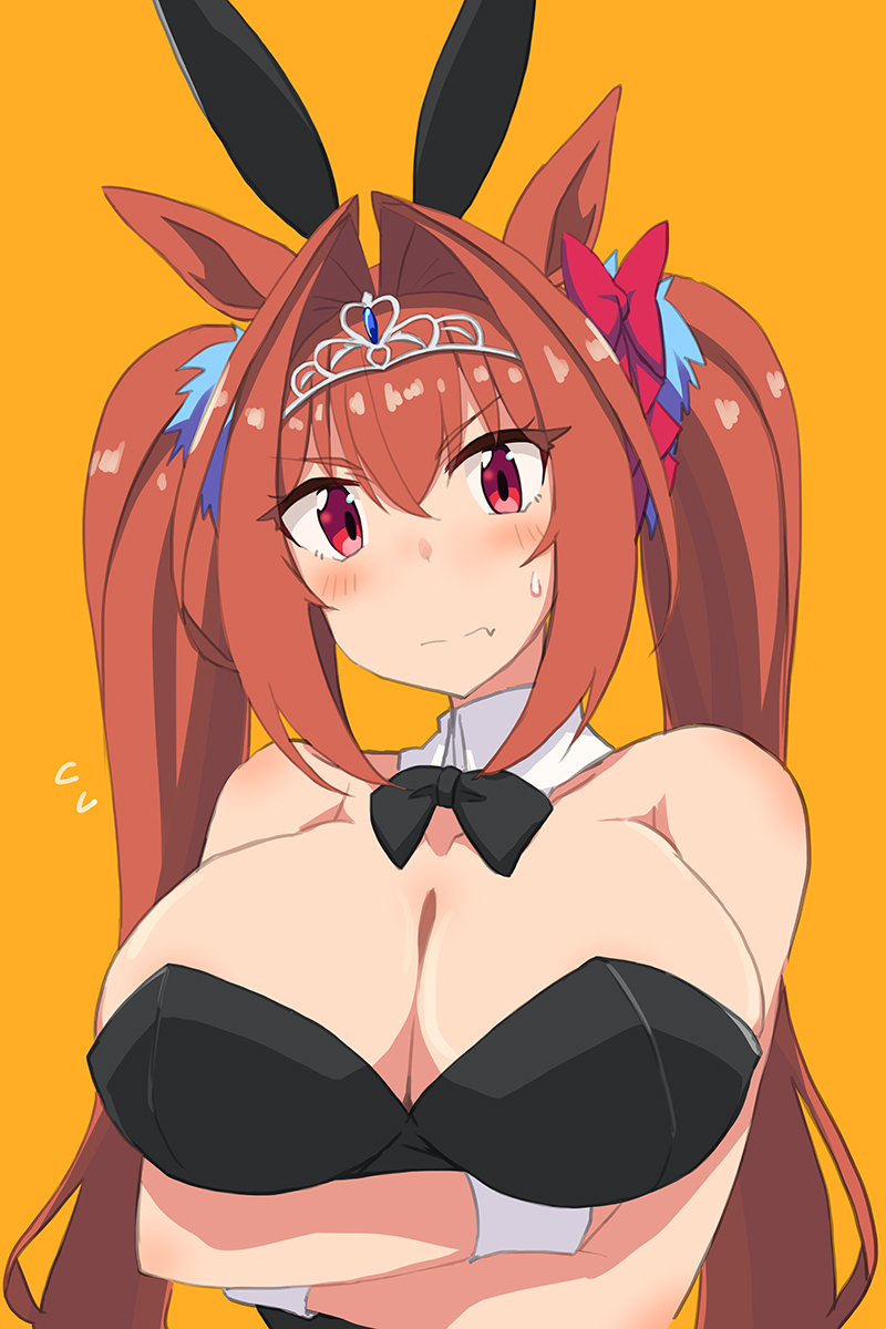 ダスカ
Daiwa Scarlet🐰 