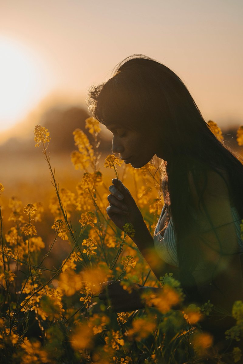 Versha✍️ tweet media