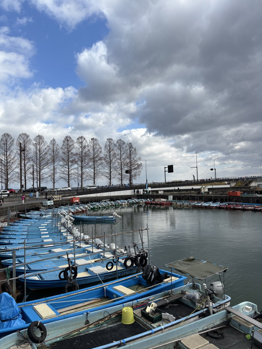 tkc@STEPN tweet media