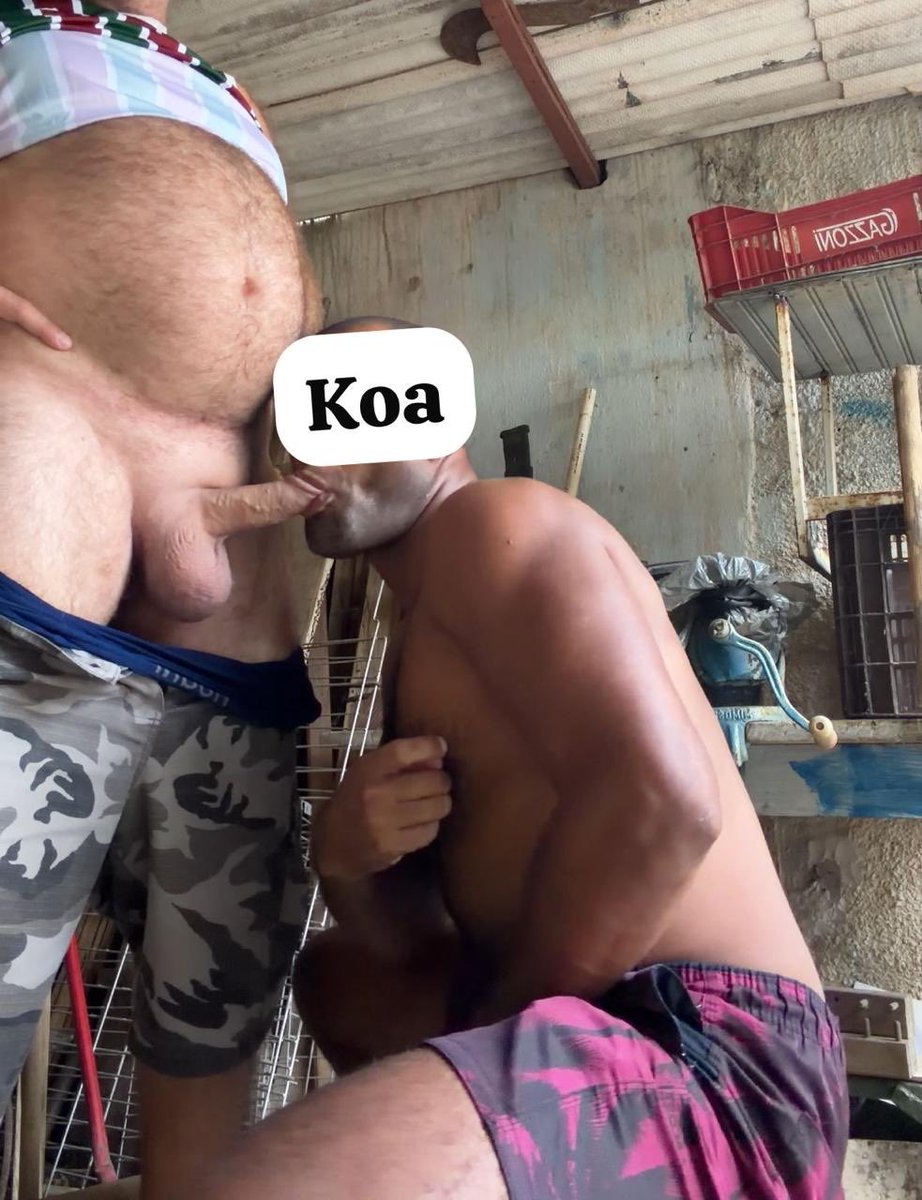 KOA OFICIAL CONTEÚDO ADULTO 🛑 CUIDADO 18+ tweet media