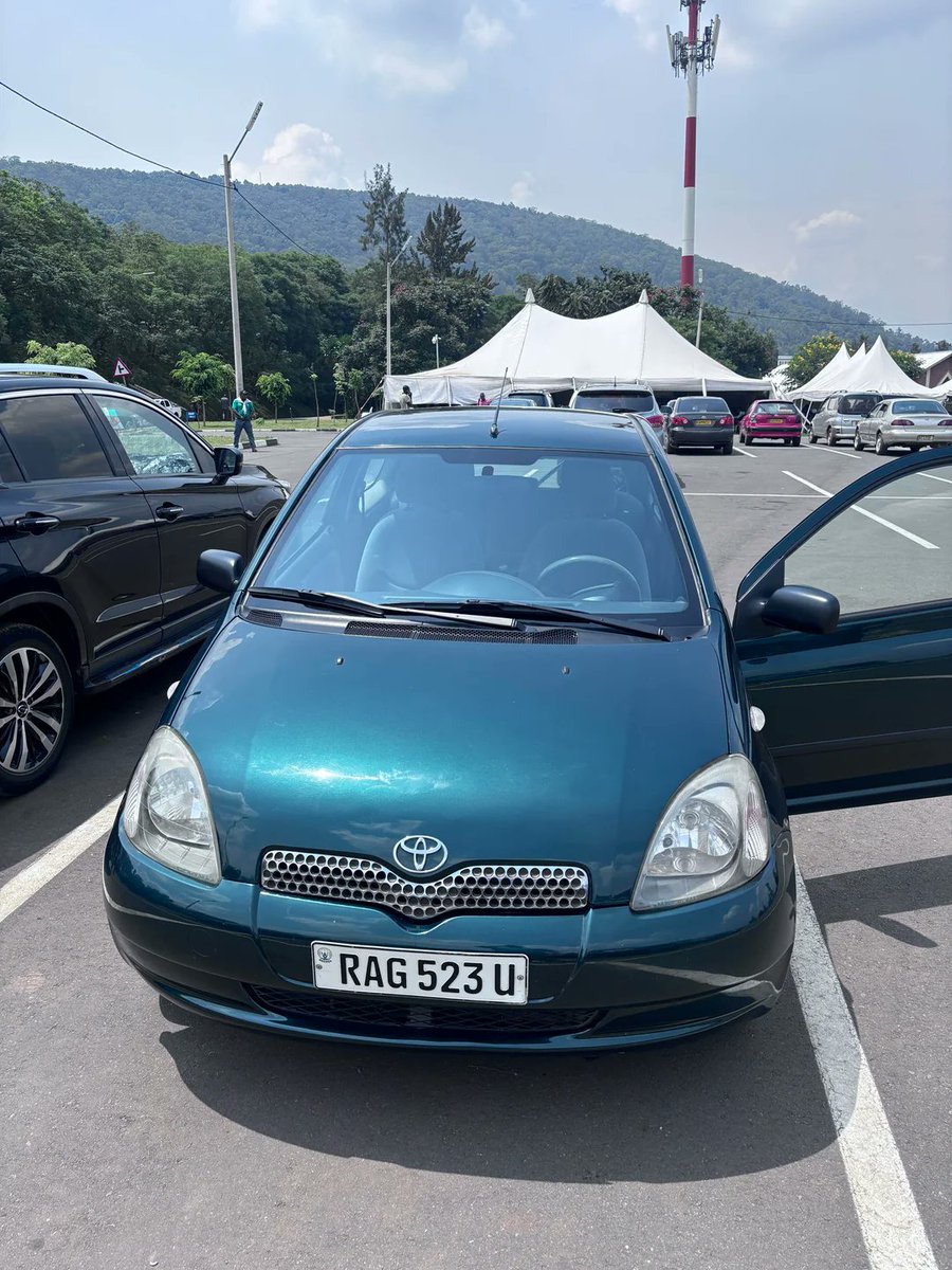 gash tamrat 🦌 tweet media