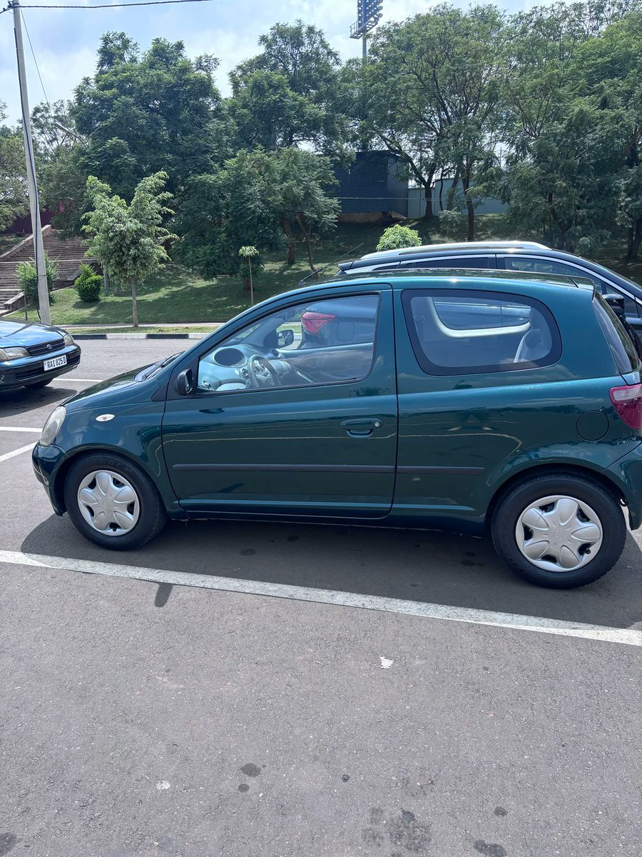 gash tamrat 🦌 tweet media