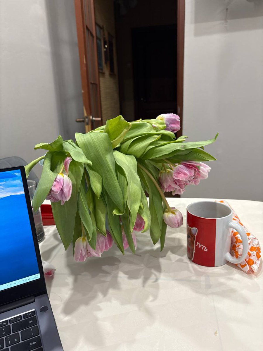 принцесса бугульма tweet media