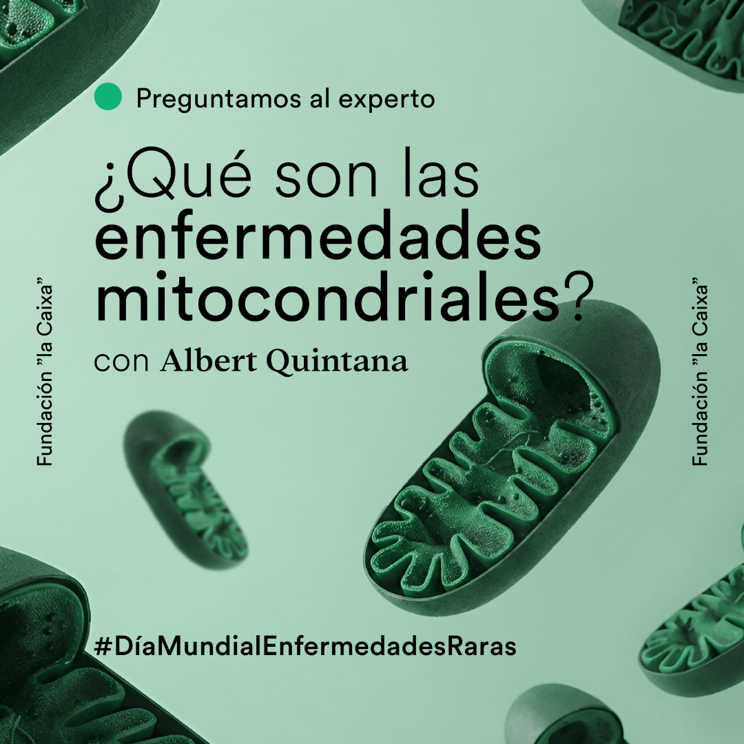 CaixaResearch tweet media