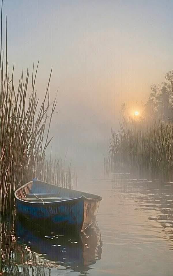 Art93539166's tweet image. Moments