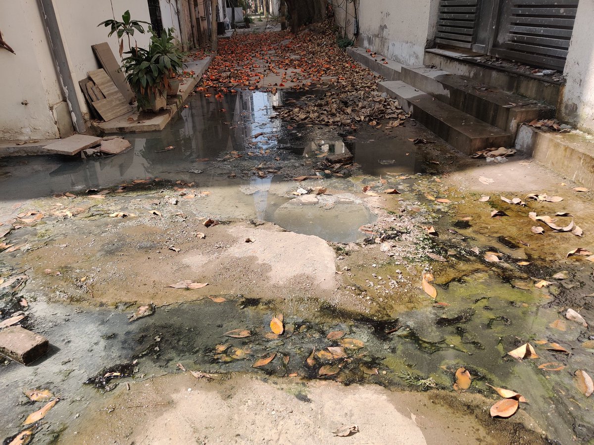 AjitkaurAk's tweet photo. @ashishsood_bjp First priority should be providing basic amenities to men, women in the constituency to live with dignity. #Janakpuri does not have sewage system, it's a slum now. What's the point of wishing when nothing is done on ground. @CMODelhi @PMOIndia_RC @HMOIndia https://t.co/EdogJ7WCoC