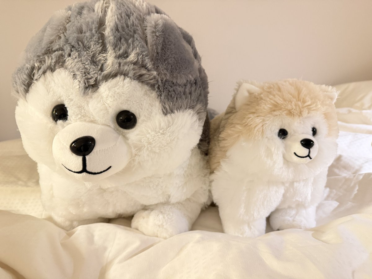 Rami瑞咪/伊米 d(d＇∀＇） tweet media