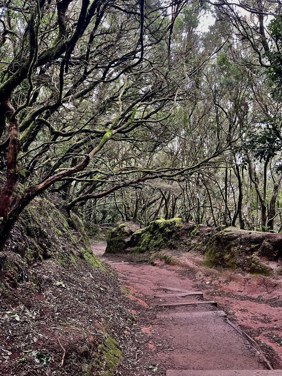 Soraya Manjón Vega tweet media