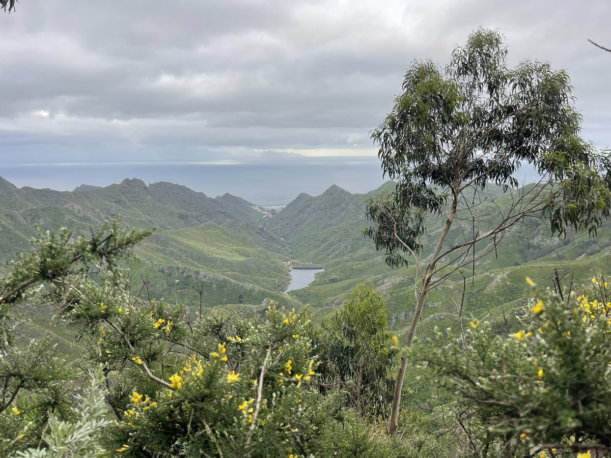 Soraya Manjón Vega tweet media