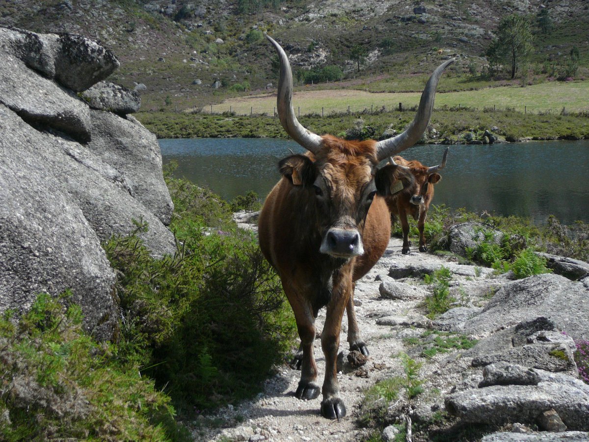 Ernesto Díaz tweet media