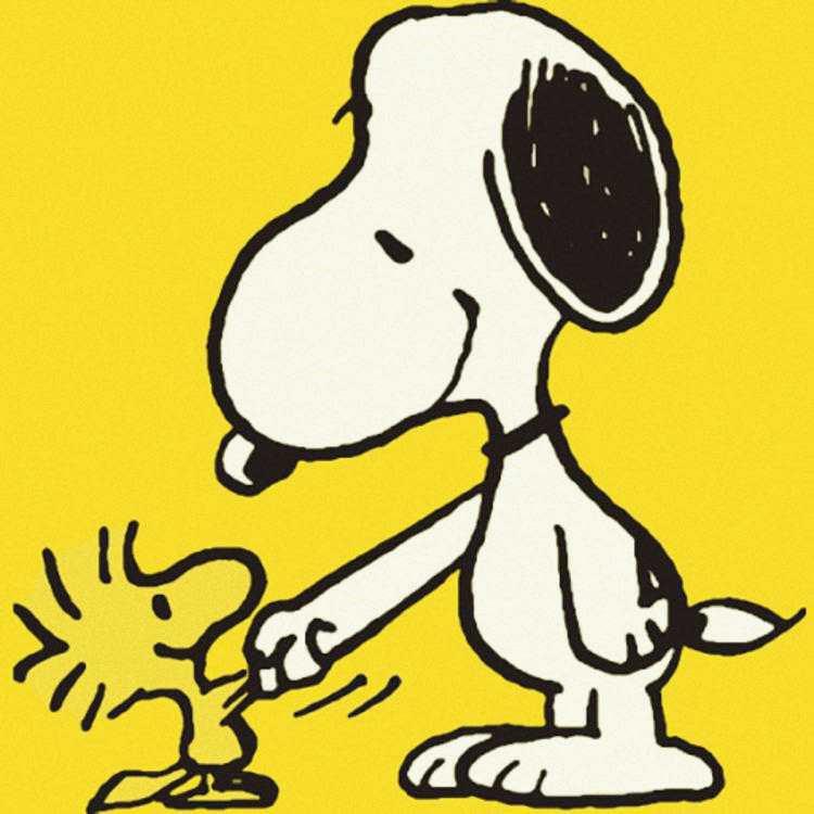 Bibhat Sah tweet media