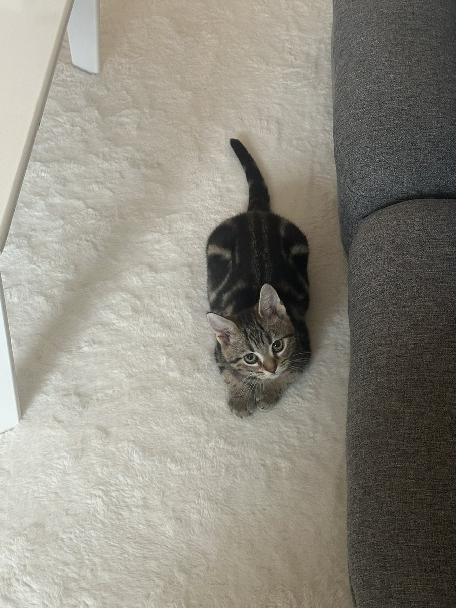 yu___llo's tweet photo. ^._.^♡ https://t.co/9r6ImspXyX