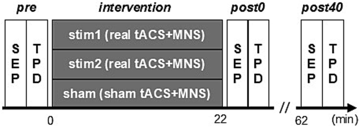 IFCN and its Clinical Neurophysiology journals tweet media