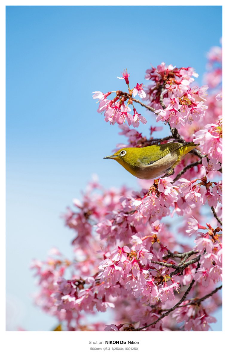 独身異常男性(29) tweet media