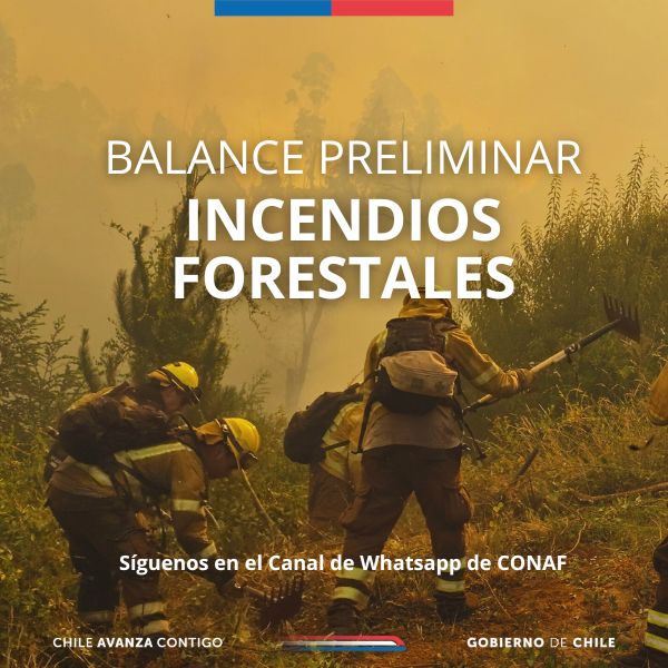 CONAF - Corporación Nacional Forestal tweet media