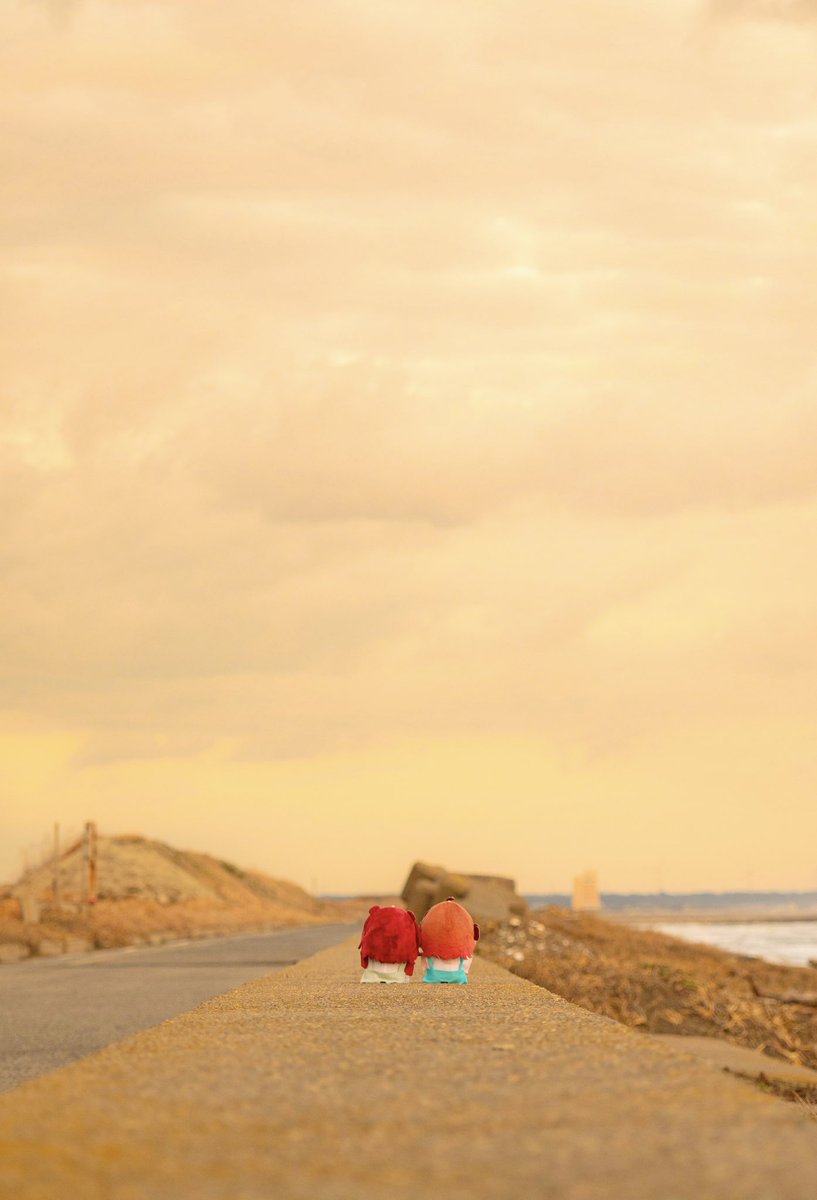 夕焼け小焼けの帰り道
#初星学園ぬいぬい部