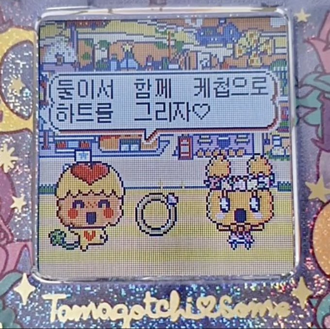 살인머신강아지 tweet media