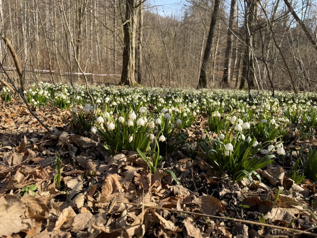 Ondřej Šimeček tweet media
