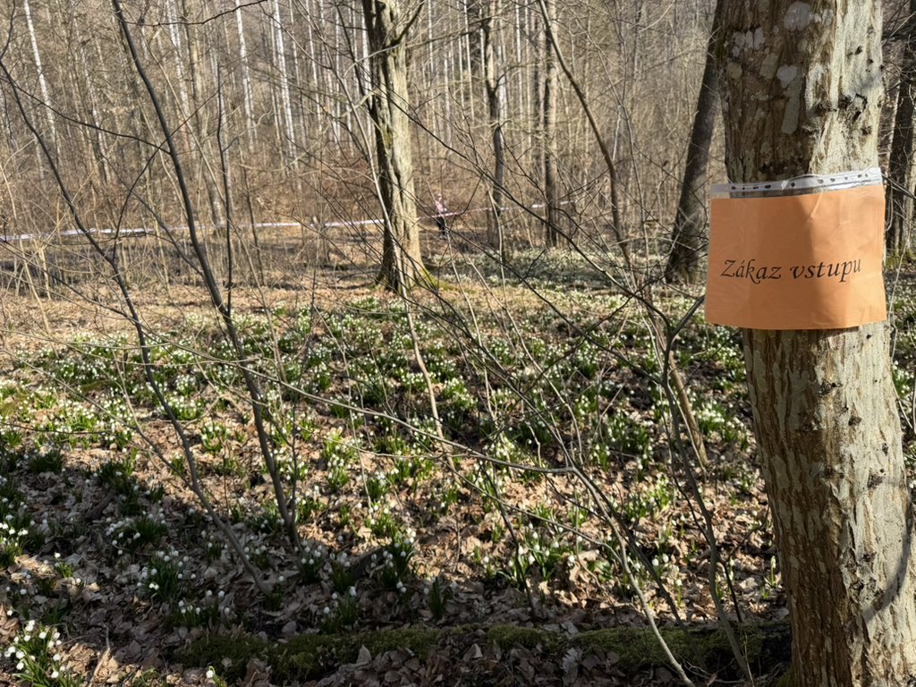 Ondřej Šimeček tweet media