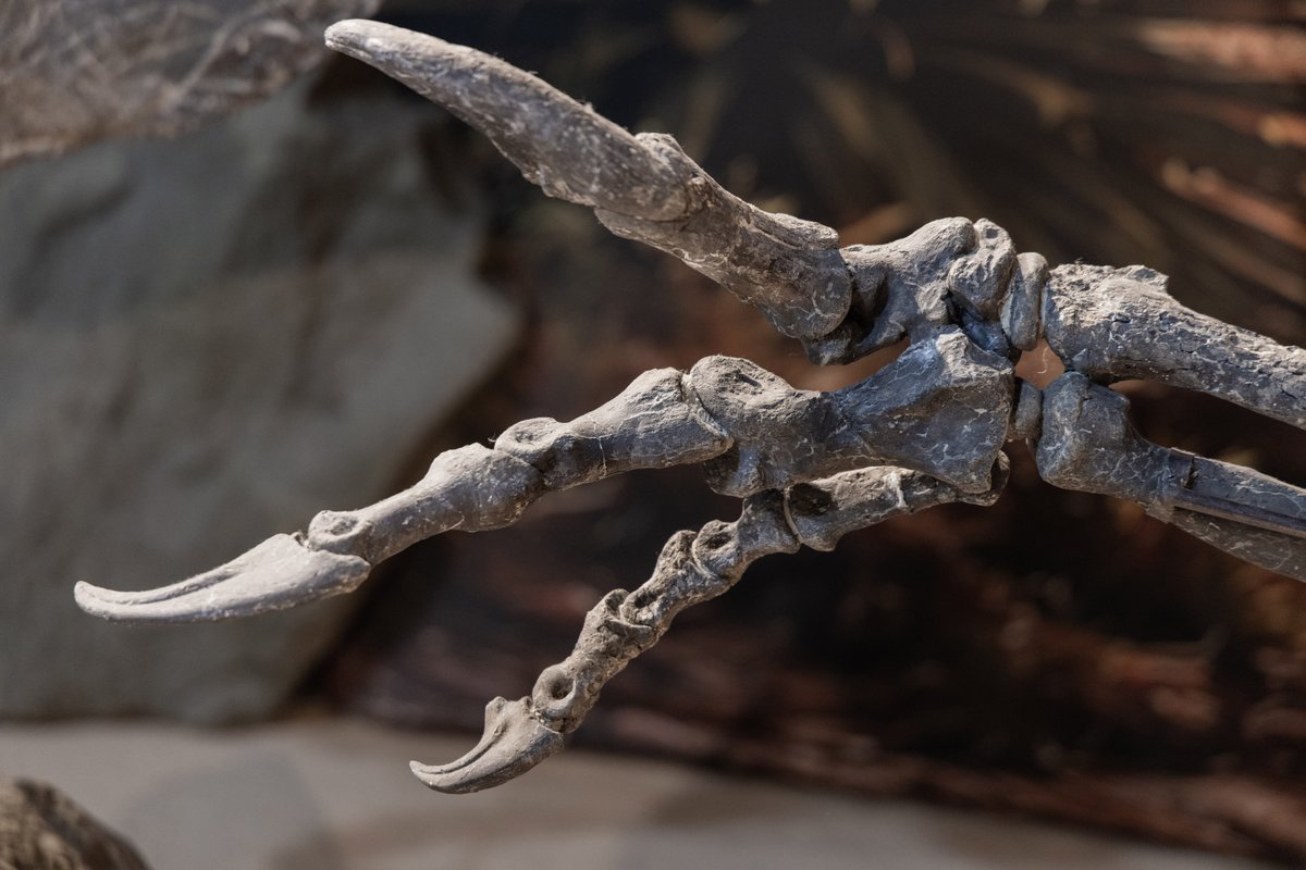 The Etches Collection tweet media