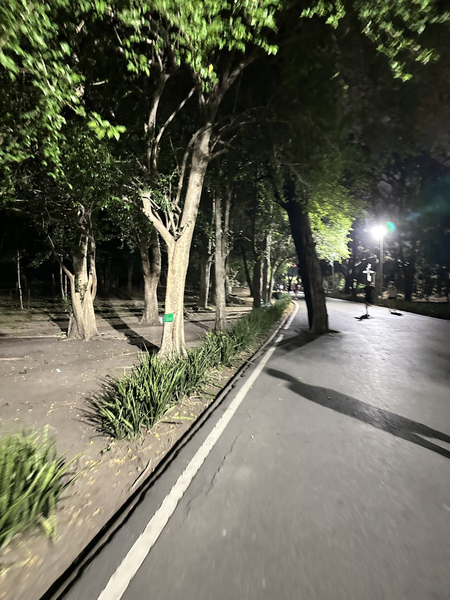 SABBBB 🐯 tweet media