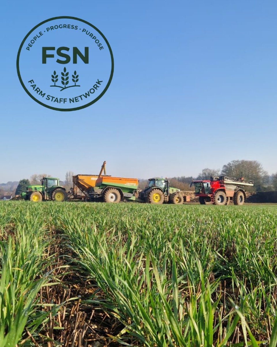 Ben Martin tweet media