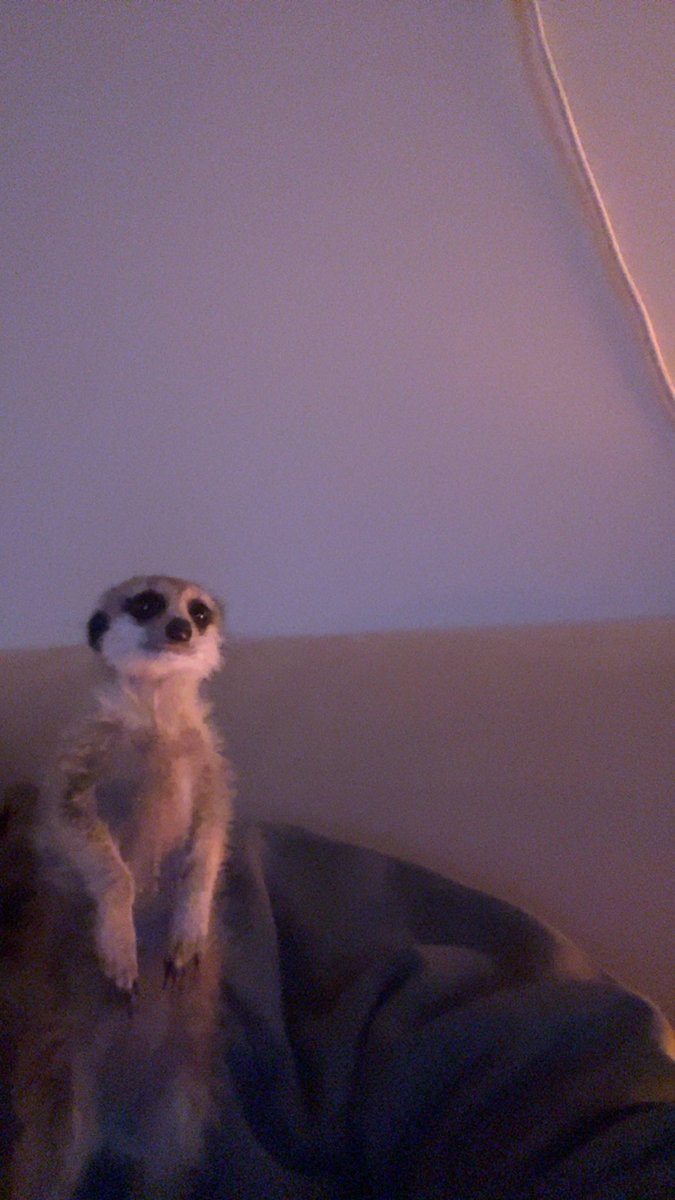 Abdulrahman. tweet media