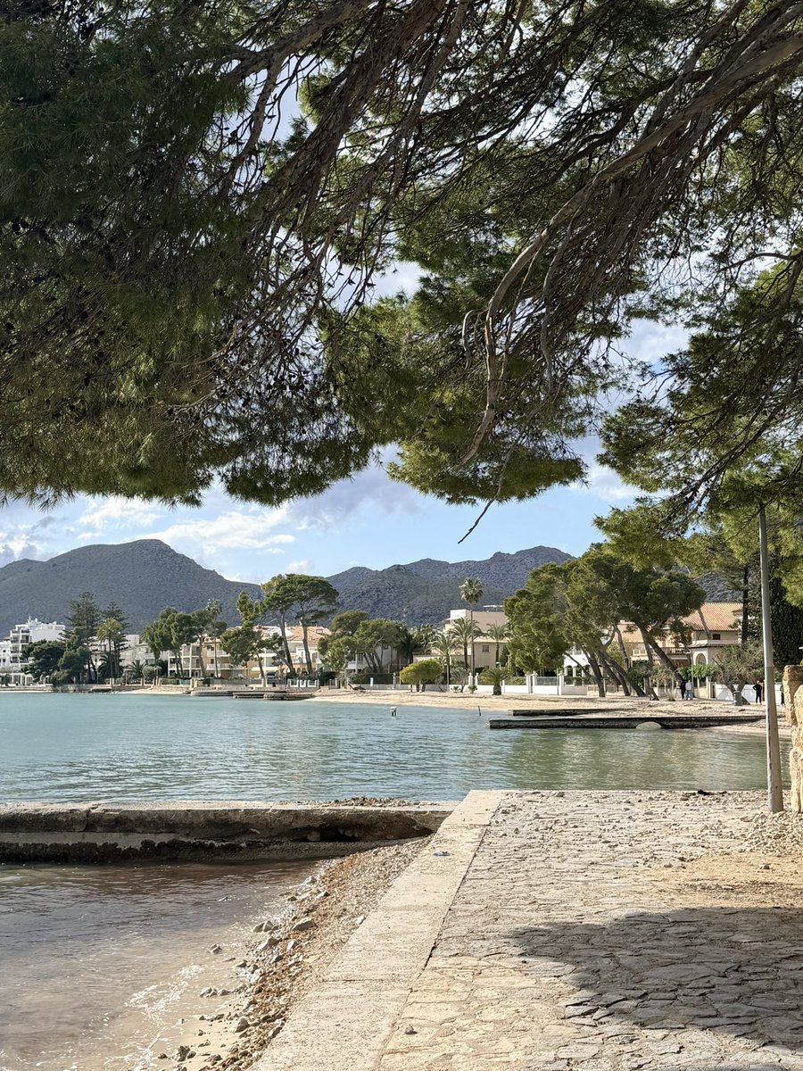 🇬🇧 Tom - Investor £120K tweet media