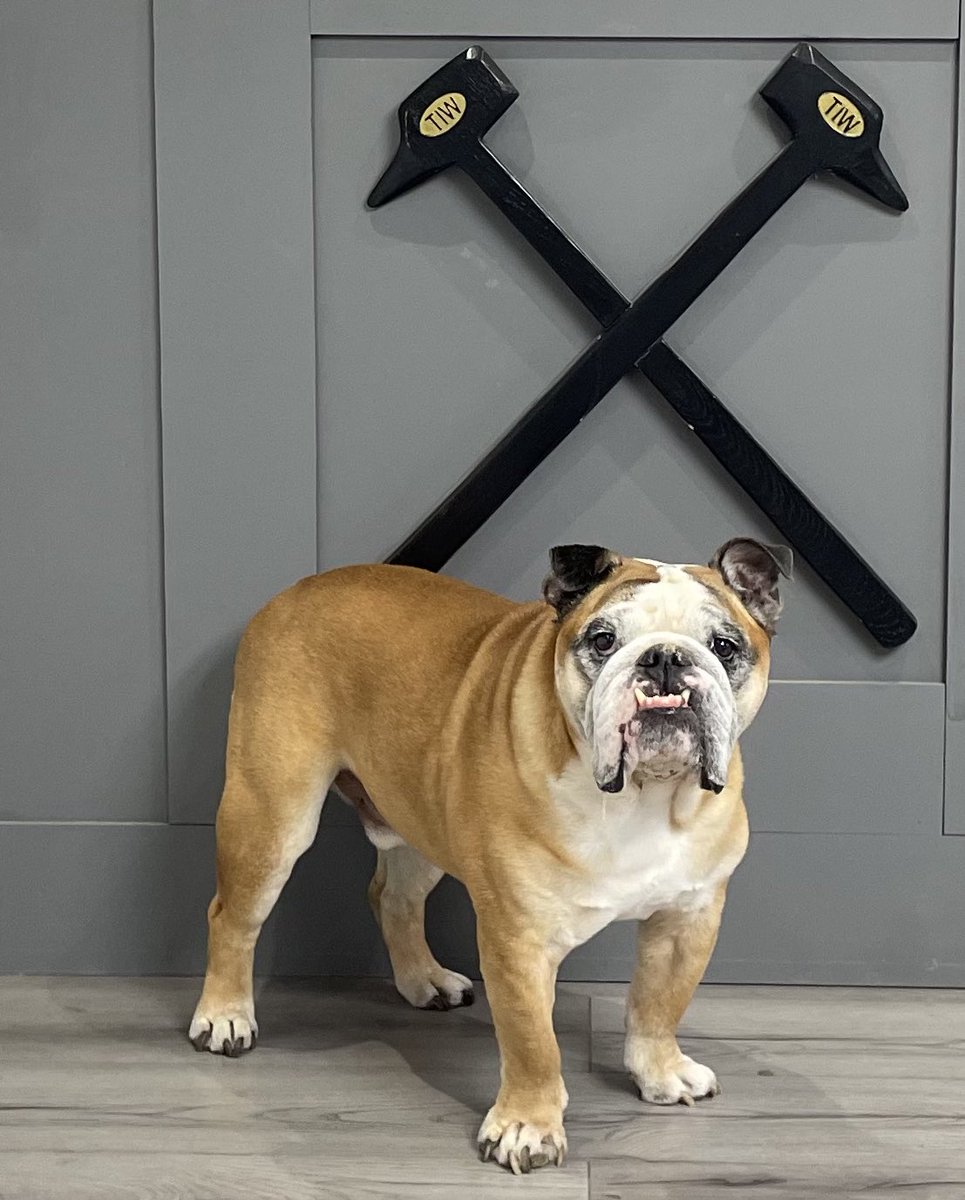 ⚒️🏰⚒️ 𝐂𝐡𝐫𝐢𝐬 𝐌𝐢𝐥𝐥𝐬 ⚒🏰⚒ tweet media