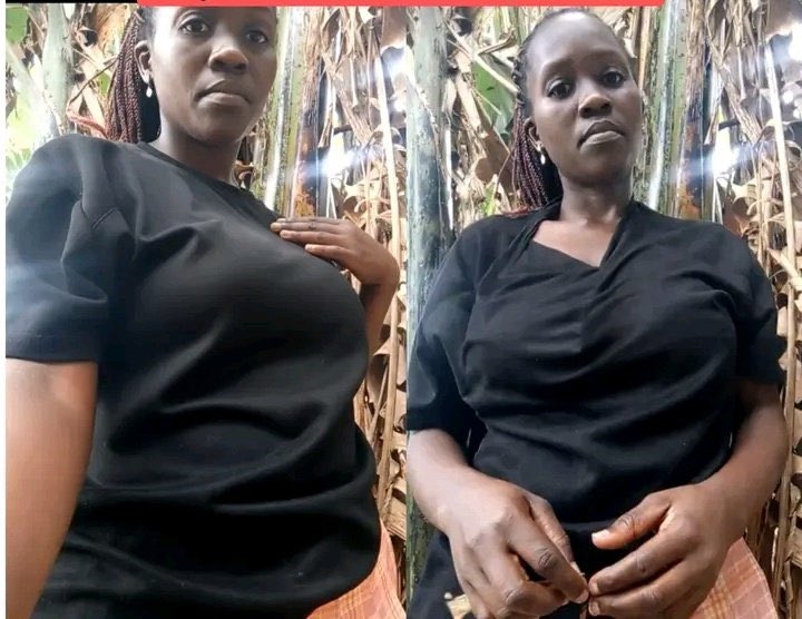 Global Digest tweet media