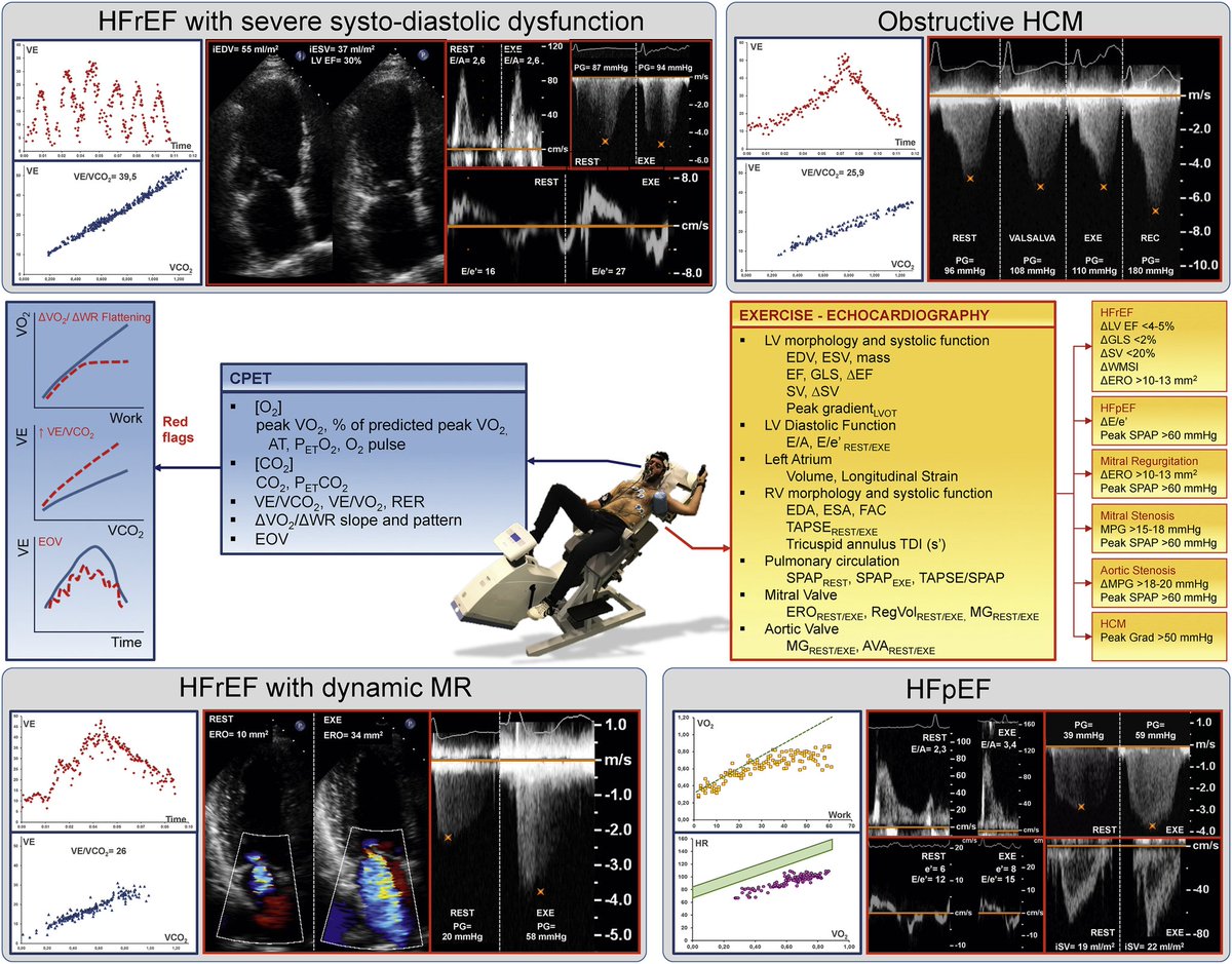 CardiovascularCorner tweet media