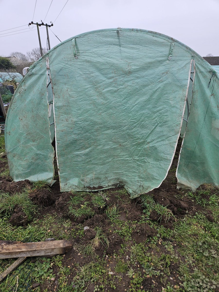 GrowingRogueUK's tweet photo. Fixing the zippers on the #Allotment polytunnel today, and it went... moderately well.

I discovered yesterday that my friend and I maaaaaay have put the cover on inside out. No worries, still works. 

The cover struggled to shut at the best of times before, hence the broken...z https://t.co/belR1BDv4x