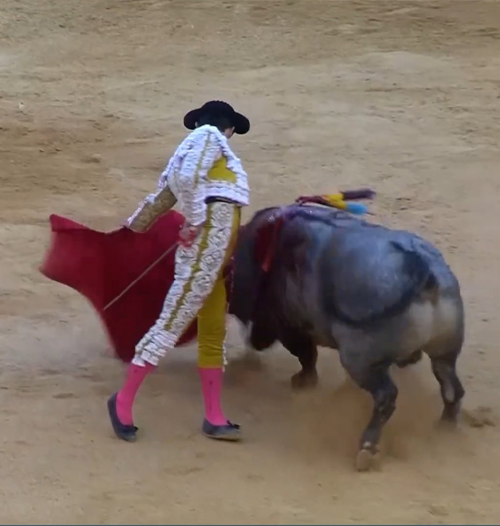 Seisyelsobrero tweet media