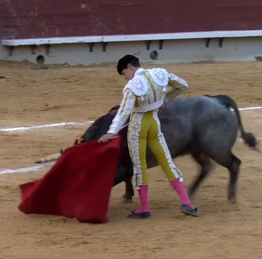 Seisyelsobrero tweet media