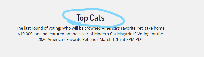 goodguydevv tweet media