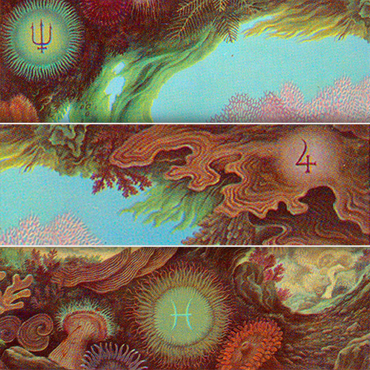 Symbolic Studies tweet media