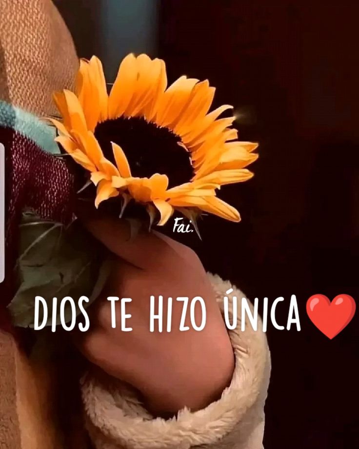 d3_m3xic4n tweet media